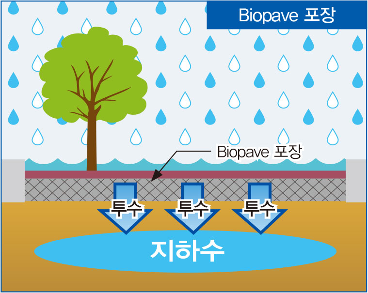 침수저감 및 지하수 확보 기존 Biopave 포장